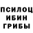 Галлюциногенные грибы GOLDEN TEACHER MyhammadNitro 05