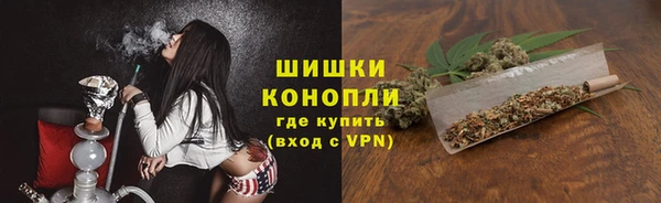 гидропоника Богданович