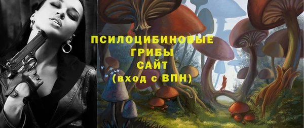 гидропоника Богородицк