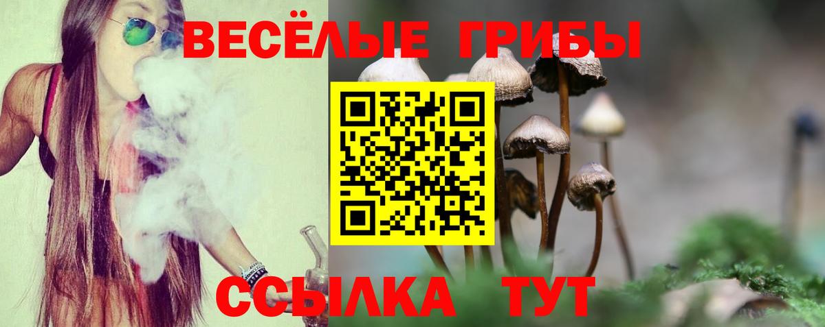 Среднеуральск  Псилоцибиновые грибы Psilocybe  Галлюциногенные грибы Magic Shrooms  Вход с VPN 